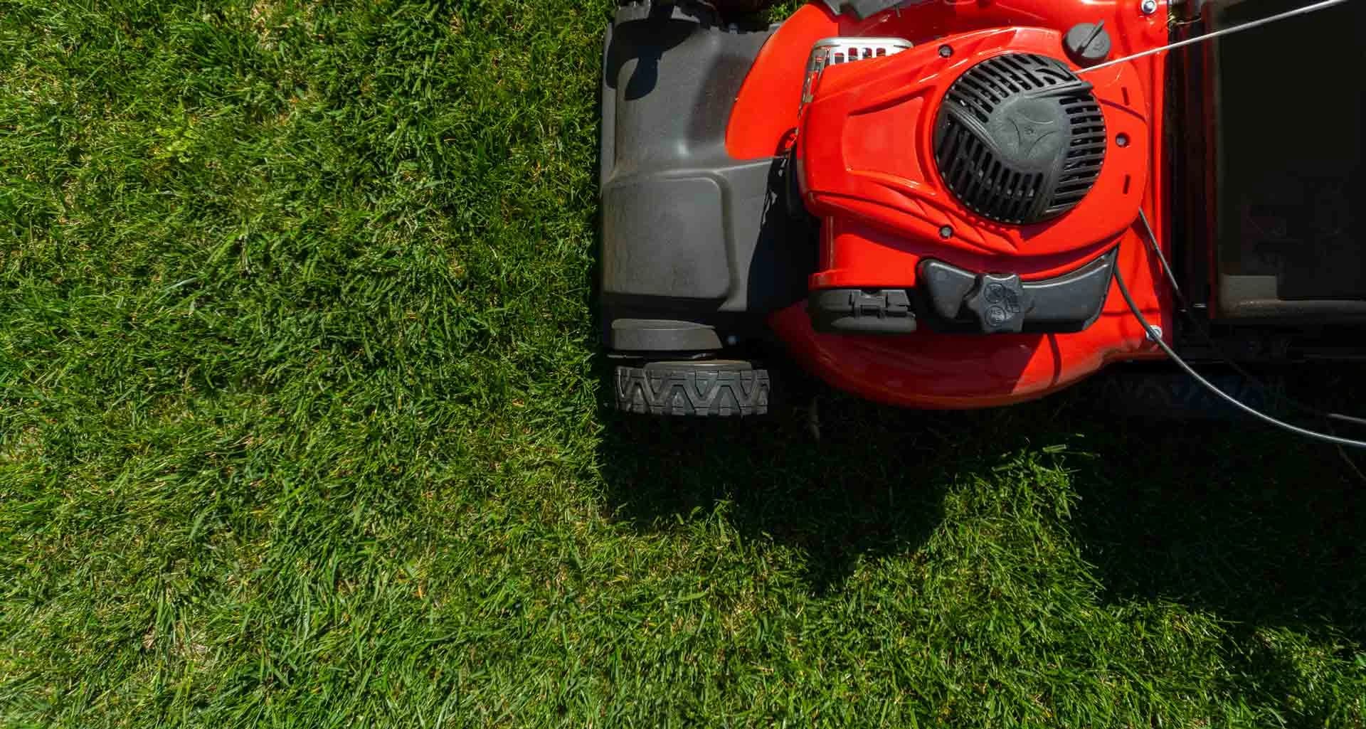 When Should You Hire a Landscaping Company in Pasco WA?