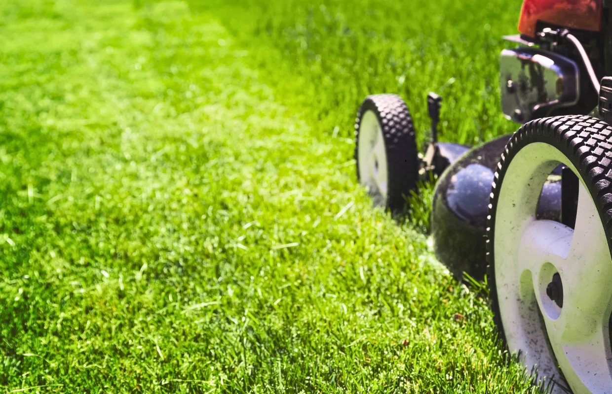 Residential landscaping design Kennewick WA